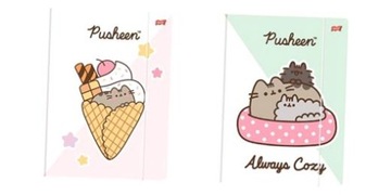 ФАЙЛ А4 PUSHEEN CAT С ЛАСТИКОМ