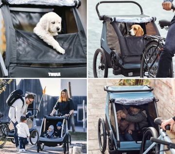 Прицеп-коляска THULE Courier Double для 2 детей или 1-2 собак (10102001)