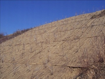Mata kokosowa biomata ekomata na skarpę 2m szer.