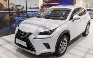 Lexus NX I SUV Facelifting 300h 197KM 2020 Lexus NX 300h Optimum AWD 2.5 Hybryda 197KM, zdjęcie 13
