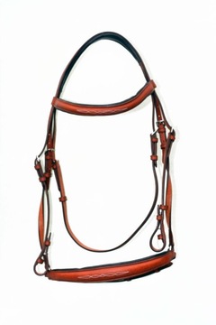 Профилированная анатомическая команда полна