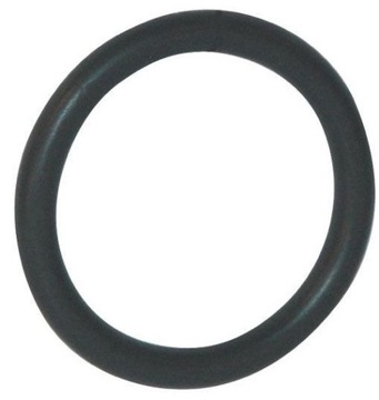 Uszczelka Oring tłoka MixRite 0,3-2% poz. 44