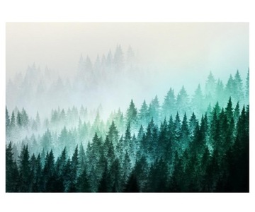 Fototapeta 312x219cm błękitny las we mgle retro