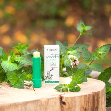 SYLVECO Мятная помада с пилингом