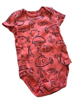 CARTERS BODY 62