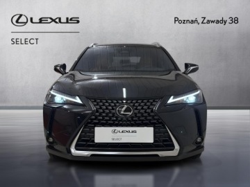 Lexus UX Crossover Facelifting 2.0 300h 199KM 2025 Lexus UX 300h Prestige Lexus UX 300h Prestige, 2.0, zdjęcie 5