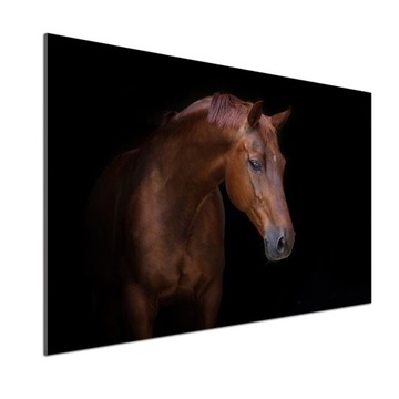 Panel dekor szkło Brązowy koń 100x70 cm + KLEJ