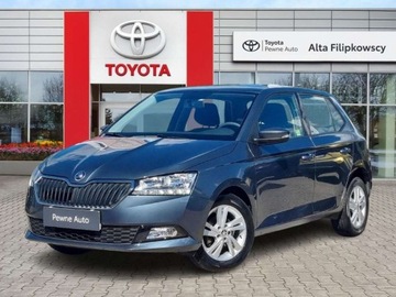 Skoda Fabia III Hatchback Facelifting 1.0 TSI 95KM 2019 Skoda Fabia Skoda Fabia 1.0 TSI Ambition Benzyna 95KM