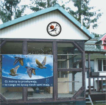 Настенные часы для любителей голубей