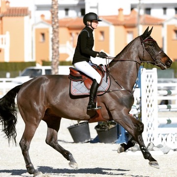 СВИТШОТ HELITE НА ПОДКЛАДКЕ НА МОЛНИИ, 2 РАЗМЕРА