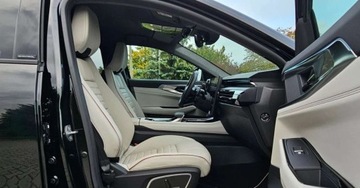 Renault Espace V 2023 Renault Espace VI E-TECH Full Hybrid 200 Iconic, zdjęcie 33