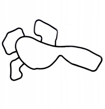 USZCZELKA POMPY WODY do OPEL CORSA C 1.0 1.2 1.4