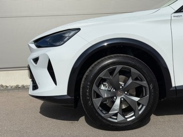 Cupra Formentor Crossover 1.5 TSI 150KM 2025 CUPRA Formentor 1.5 eTSI DSG Suv 150KM 2025, zdjęcie 15