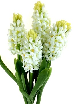 БЕЛЫЙ ГИАЦИНТ РЕЗИНОВЫЙ ЛИСТЬЯ 39 см как натуральный ПРЕМИУМ