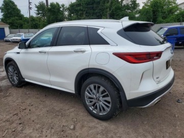 Infiniti QX50 2025 Infiniti QX50 Luxe 2025 2.0 Benzyna 268KM, zdjęcie 1