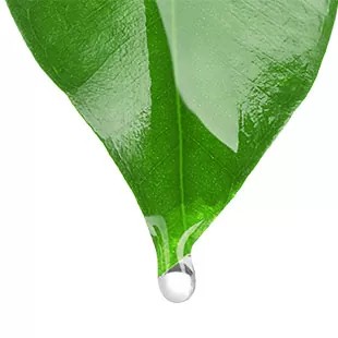 Pharm Foot Collagen Power регенерирующая сыворотка 15мл