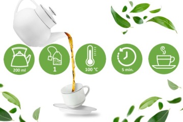 GREEN TEA Экспресс Зеленый Чай с Имбирем Лимоном Лаймом 34г 20T LOYD