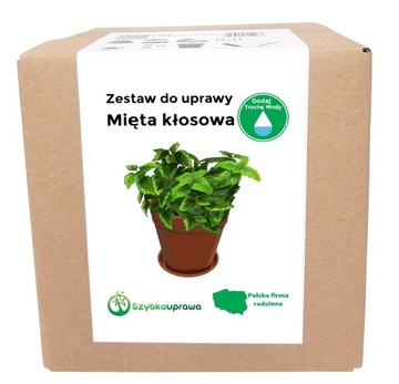 Zestaw do Uprawy zioła MIĘTA KŁOSOWA X
