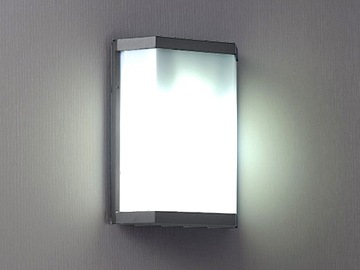 Oprawa elewacyjna LED Uffa 12W DZIENNA IP53 SZARA
