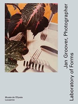 Jan Groover photographer LABORATORY of FORMS