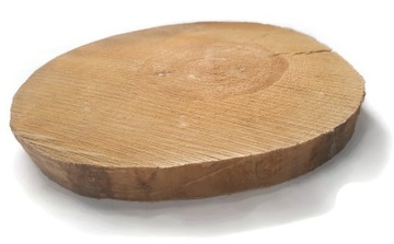 Plastry drewna brzoza bez kory 35-40 / 4 cm krążek drewniany