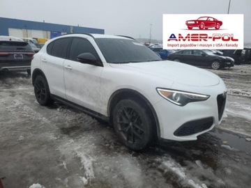 Alfa Romeo Stelvio 2021 Alfa Romeo Stelvio 2021r., 2.0L 2.0 Benzyna 280KM
