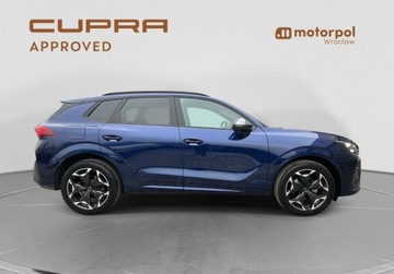 Cupra Terramar SUV 1.5 eTSI 150KM 2025 Cupra Terramar ACC, Kamera, DCC, SENNHEISER, Sportowe fotele, Bezwypadkowy, zdjęcie 15