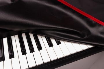 Чехол для аналогового синтезатора Behringer DeepMind 6