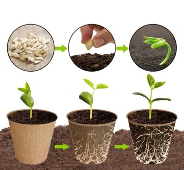 ТОРФЯНЫЕ ГОРШКИ ДЛЯ РАССАДЫ, РАССАДЫ 6СМ, БИОРАЗЛАГАЕМЫЕ, 120 ШТ.