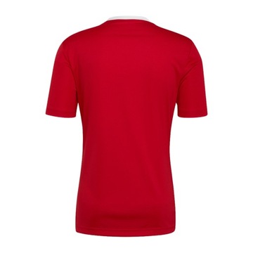 Футболка Adidas с гербом PRINT XXL W-F