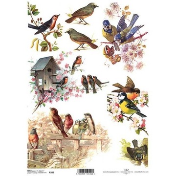 PAPIER RYŻOWY do decoupage R325 ptaszki