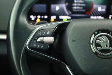 Skoda Karoq Crossover Facelifting 2.0 TDI SCR 150KM 2023 Skoda Karoq 2.0 TDI, Salon Polska, 1. Właściciel, zdjęcie 18