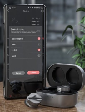 Беспроводные наушники-вкладыши FiiO FW3 BT