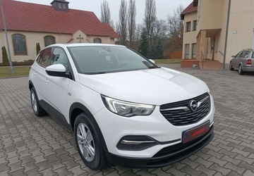 Opel 2018 Opel Grandland X Pierwszy wlasciciel - bezwypadkowy - serwisowany - polecam
