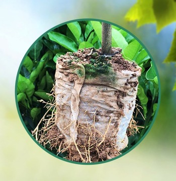 СУМКИ БИОРАЗЛАГАЕМЫЕ МЕШКИ ДЛЯ РАСТЕНИЙ 8х10см 300 ШТ.