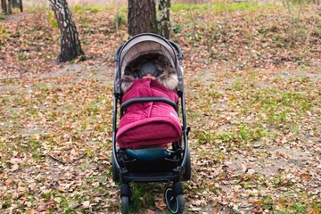 УТЕПЛЕННЫЙ СПАЛЬНИК ДЛЯ КОЛЯСКИ С МЕХОМ XL VELVET X-Lander