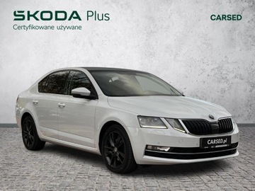Skoda Octavia III Liftback Facelifting 2.0 TDI 150KM 2019 Skoda Octavia FV-23%/ Style/ DSG/ Panorama/ Canton, zdjęcie 8