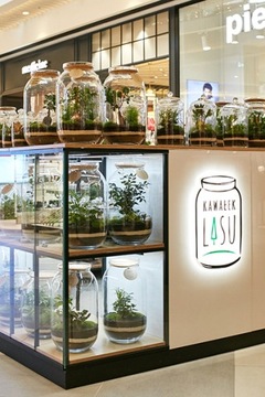 J-LINE Чехол/Цветочный Горшок - Коралловый Серый