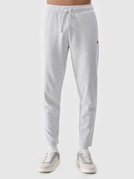 Мужские спортивные штаны 4f L Joggers ttrom1139 SS25