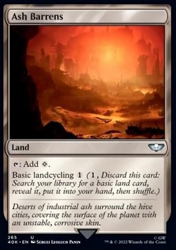 Ash Barrens - Magic & Warhammer