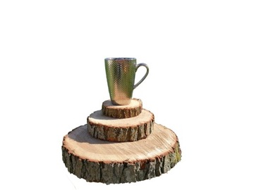 Срез ДУБА для тротуара, садовой дорожки, диаметр 20 см.