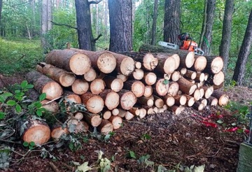 БЕНЗИНОВАЯ ПИЛА ЦЕПНАЯ ПИЛА 5,7 Л.С. МОЩНЫЙ БОЛЬШОЙ КОМПЛЕКТ + БЕСПЛАТНО