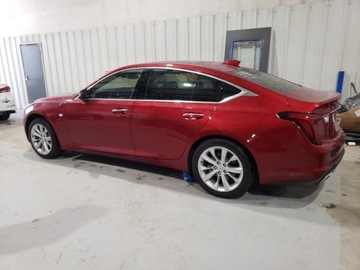 Cadillac 2025 Cadillac CT5 Premium Luxury 2025 2.0l 2.0 Benzyna 237KM, zdjęcie 1