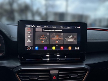 Cupra Formentor Crossover 2.0 TSI 190KM 2022 Cupra Formentor 2.0 TSI 4Drive 190KM Audio System, zdjęcie 22