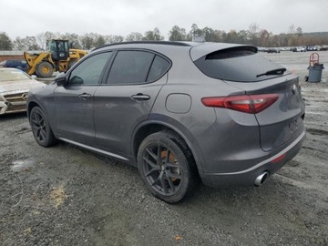Alfa Romeo Stelvio 2021 Alfa Romeo Stelvio Sport 2021 2.0l 2.0 Benzyna 280KM, zdjęcie 1