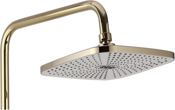 Набор душа с носиком золотой золотой золотой поверхность