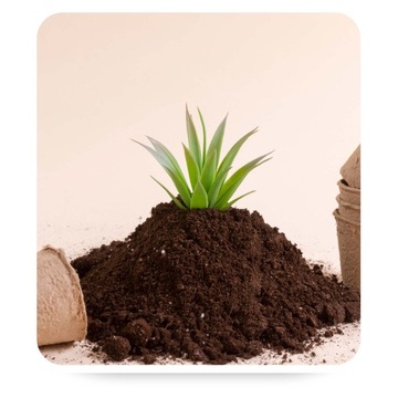 Почвенный субстрат для зеленых растений Palm Dracen Juk