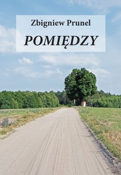 Zbigniew Prunel Pomiędzy