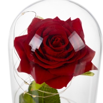 Вечная роза в стеклянной подарочной светодиодной светящейся коробке