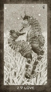 ЭЛЕМЕНТЫ НОВОЙ ЭРЫ ТАРО - карты Таро